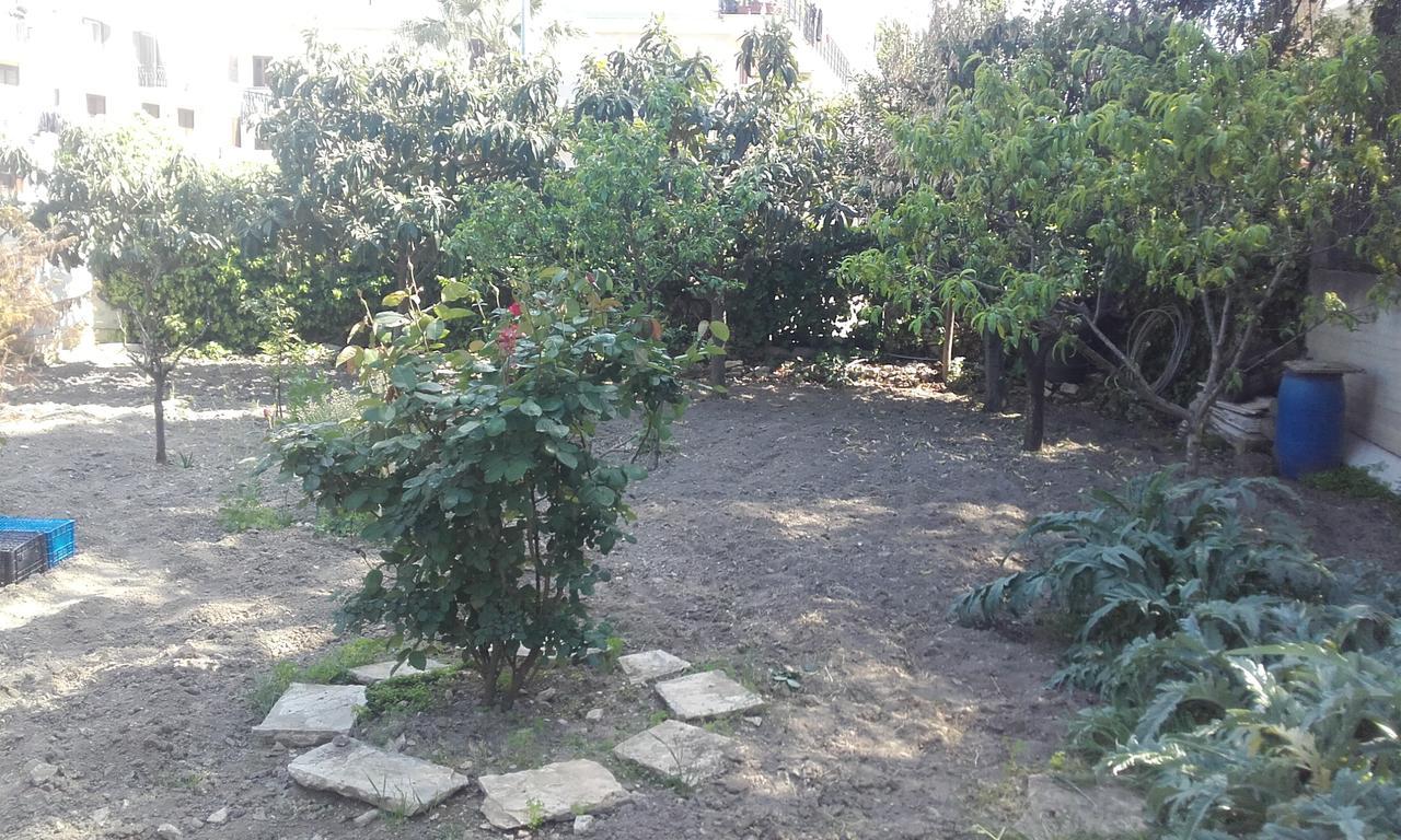 B&B La Palma Руво ди Пуля Екстериор снимка